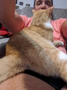 Carl Cork - Daddy Dallas, USA