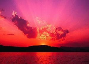 Jonathan Patino - Daddy Massachusetts, USA