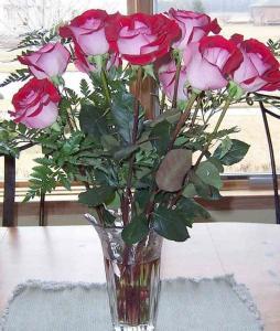 Joshua Jones - Daddy Phoenix, USA