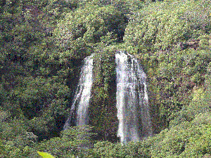 Noel Pollock - Daddy St Louis, USA