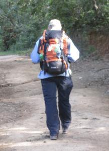 Richard Pippin - Daddy Midlothian, USA